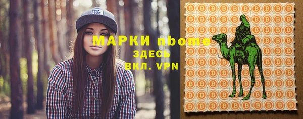 прущие грибы Белоозёрский