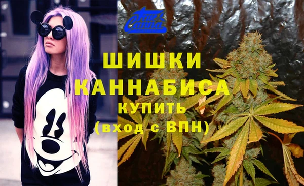 синтетический гашиш Белокуриха