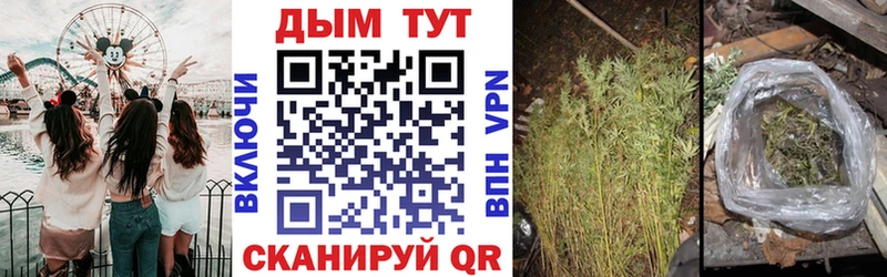 МЕГА сайт  где продают наркотики  Берёзовский  Бошки марихуана THC 21% 